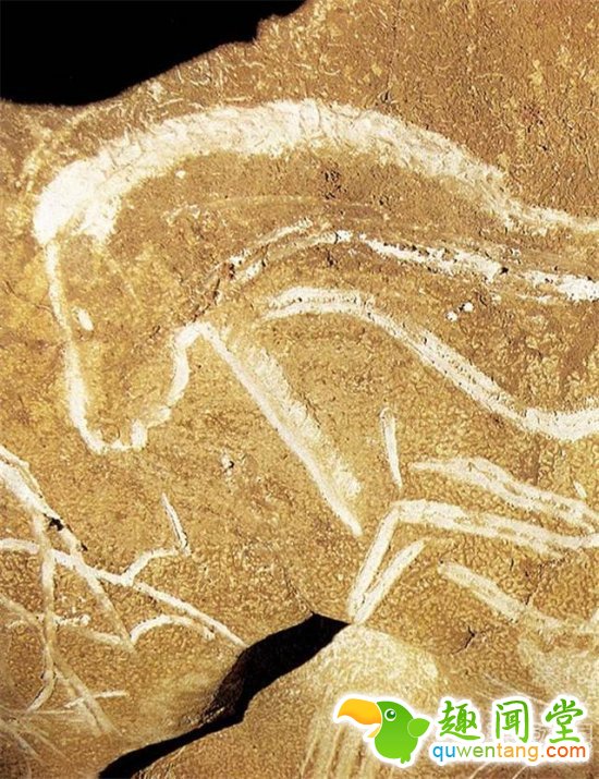 探险家发现一山洞：进去后令人难以置信！