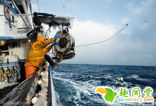 5天赚65万 薪水虽高却没人想干的活是什么？