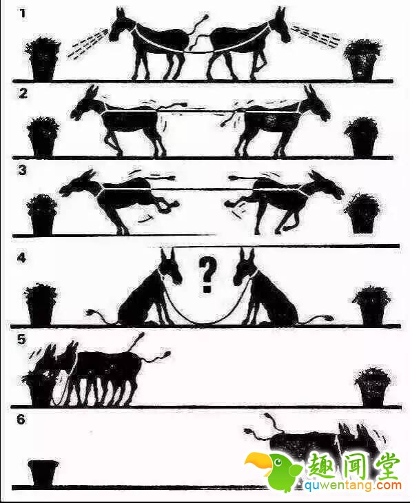 这几张图片，改变无数人，你敢看吗？