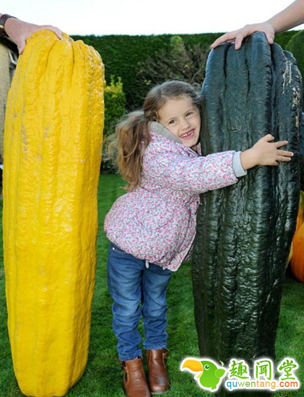 大开眼界！英国老人种出巨型蔬果 自给足养活一家18口