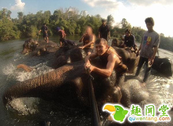 笑爆！泰游客自拍瞬间遭大象喷满脸水