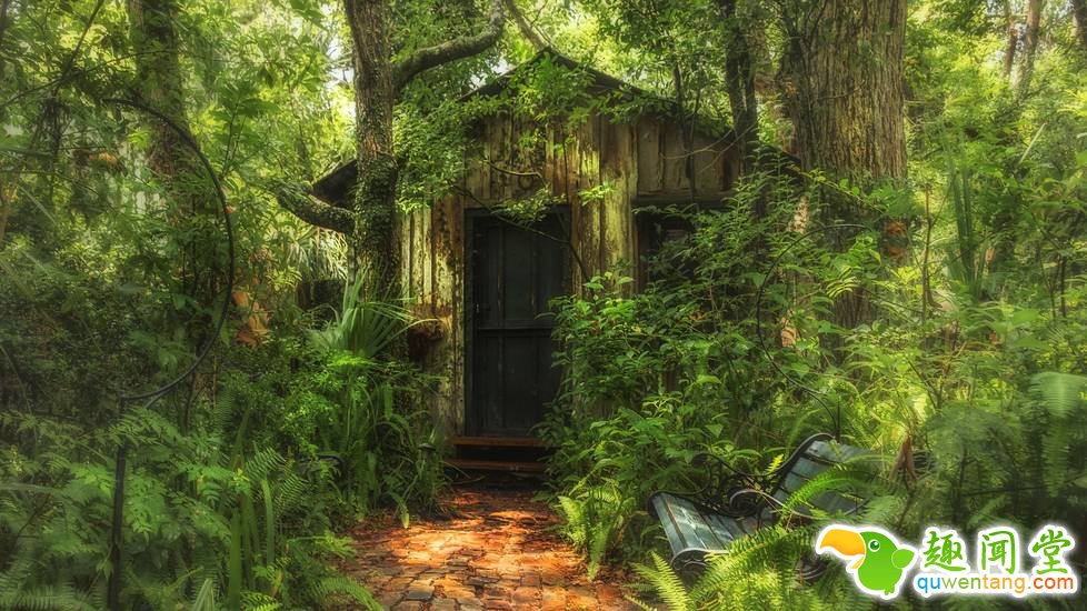 被人类遗弃后，大自然重新接管了这里！