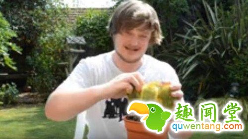 男子直播吃仙人掌，脑子被刺坏了？