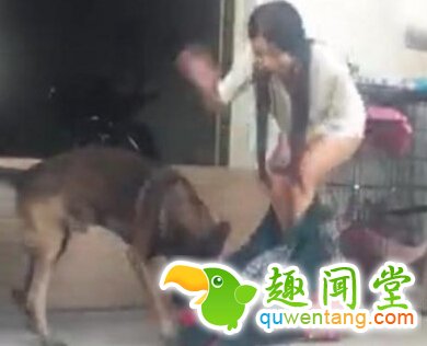 脸红一幕！女子跟狗玩 裙子却被它扒下
