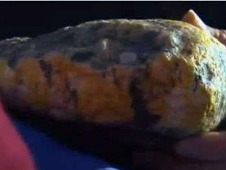 鲸鱼呕吐物竟是“龙涎香” 拾得值逾百万元