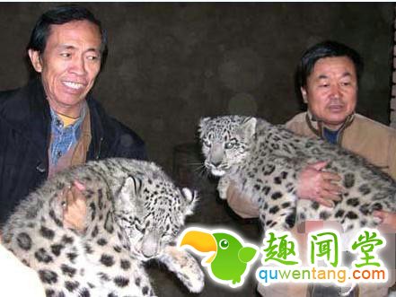 野外捡回两只小花猫 一个月后让他大呼养不起