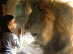 看到这只一次次想要冲破玻璃的大猩猩，我