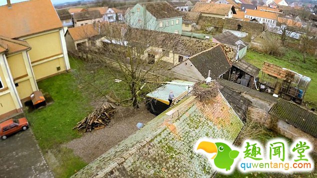 　 　 据英国《每日邮报》4月6日报道，克罗地亚一对白鹳夫妇的爱情故事在当地广为流传。14年来，公白鹳科雷派坦（Klepetan）每年准时从非洲飞回克罗地亚与母白鹳马莱娜（Malena）团聚。