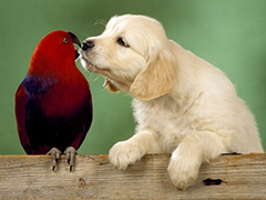 虐死单身汉“春天到了，