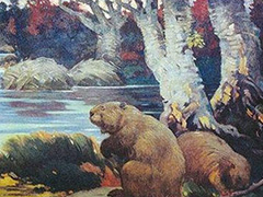 那些地球上再也见不到的动物   真的想象不