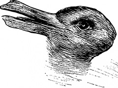 一张神奇的图：你看到的是兔子还是鸭子