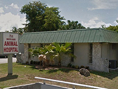 惊！百岁老人半夜醒来时  发现一只毛茸茸