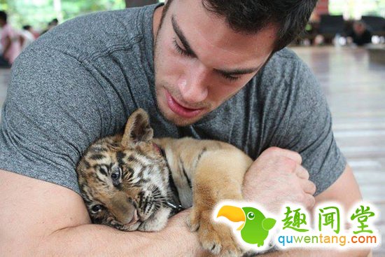 兽医身上不仅会