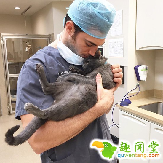 兽医身上不仅会