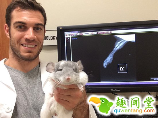 兽医身上不仅会