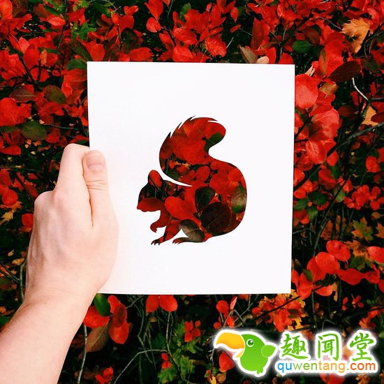 这么美轮美奂的动物剪影没想到竟然是用纸做的…