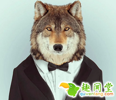 来自有意思吧（www.u148.net）