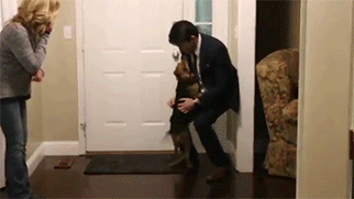 狗狗这十种暴力示爱方式，哪种让你最感动？