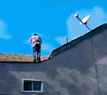 看到你装逼失败，我真的好心疼