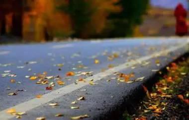 谁曾路过你的心？写的真好！