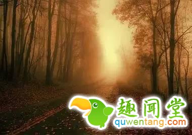 谁曾路过你的心？写的真好！