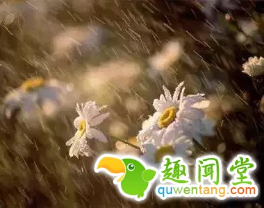 谁曾路过你的心？写的真好！