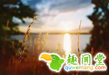 谁曾路过你的心？写的真好！