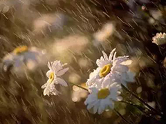 谁曾路过你的心？写的真好！