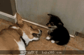 20130905101257895.gif
