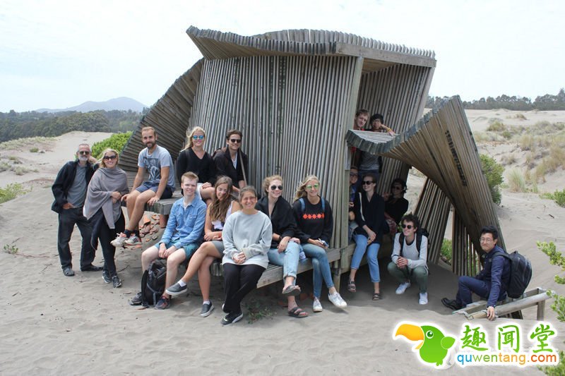 这就是团队的人员了