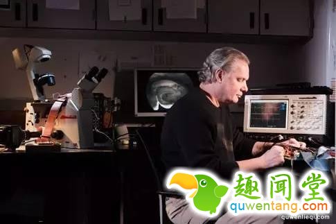 还在发愁记性不好？未来脑子都可以插卡了