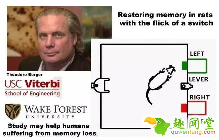 还在发愁记性不好？未来脑子都可以插卡了