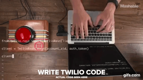 这年头狗都会自拍了！还会把自拍照发给你！