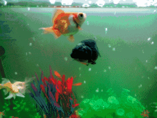 这些让人深信不疑的事情，竟然都是错的…