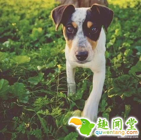 既然赖床这么舒服，为什么我们必须坚持早起？!