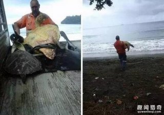 这20张照片, 证明生活还是很美好的！