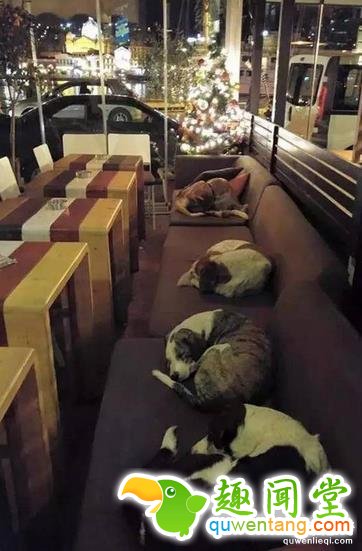 这20张照片, 证明生活还是很美好的！