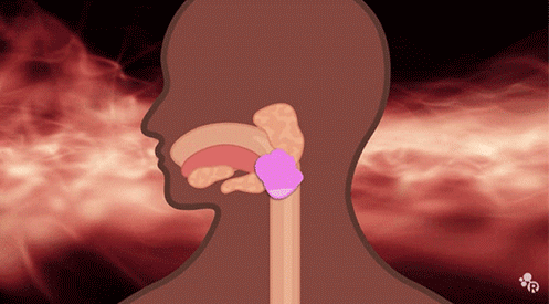 【真相帝】那些年不小心吞下的口香糖，真的会一直粘在你的肠子上吗？