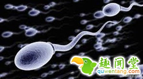 男生注意了!不要再把手機放在褲子口袋裡了，下一代會恨死你!