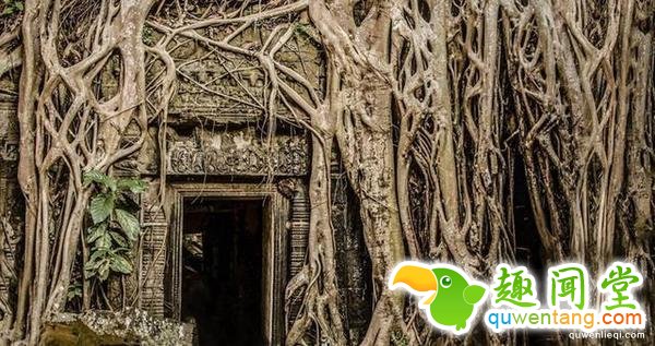 美丽而又神秘 探秘地球上十处无人之境