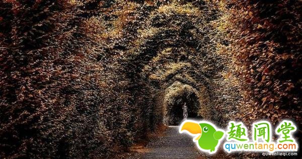 美丽而又神秘 探秘地球上十处无人之境