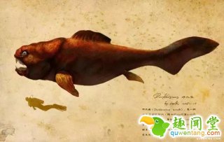 排名前10的史前海洋巨兽，看完觉得恐龙弱