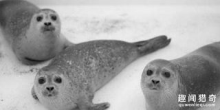 加拿大诡异事件：船员凭空消失又出现