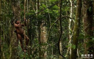 这个藏在雨林中的原始部落，日常食物竟然