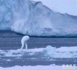 南极洲拍摄到的30公尺高巨型人类大揭秘，