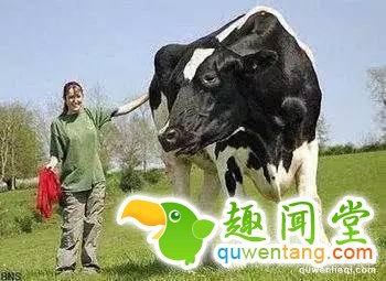 地球上独一无二的67个基因变异的物种！你可能一辈子也没见过