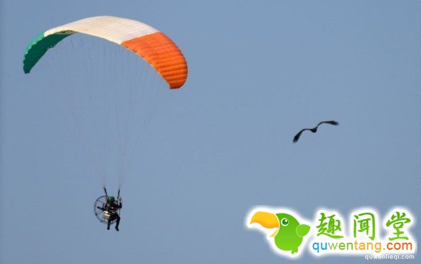 印度军校阅兵彩排 场面堪比杂技表演！ 第7张图片