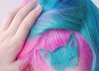 俄罗斯女孩爱猫疯狂 剪了个猫脸发型