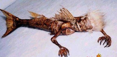 揭开美人鱼神秘面纱，走入美人鱼世界