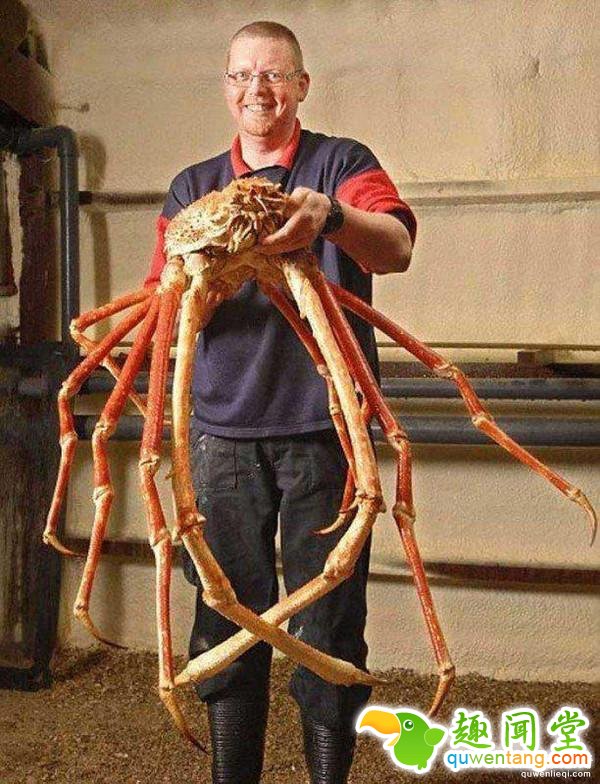 直击全球罕见的14种大“怪物”